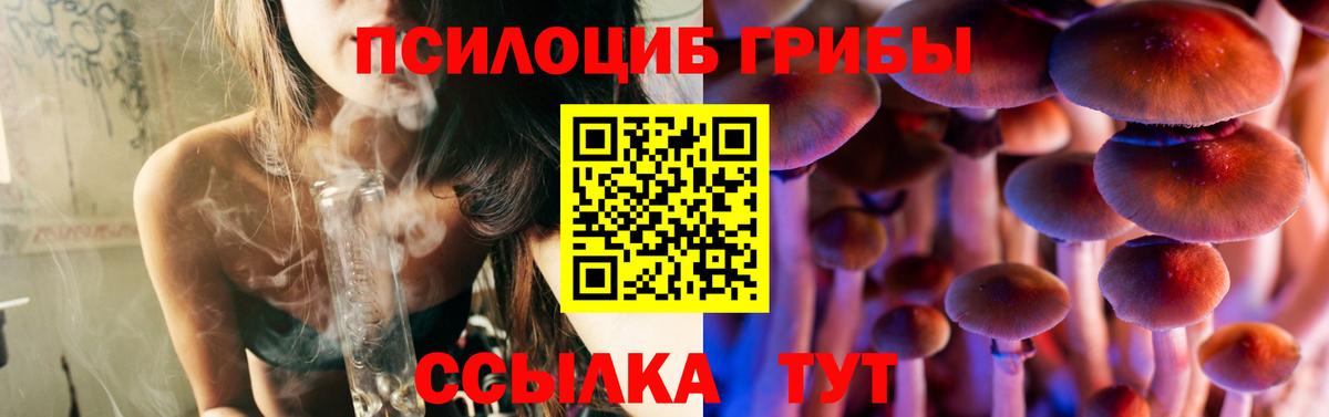 Пугачёв  Галлюциногенные грибы Magic Shrooms  Вход с VPN  Псилоцибиновые грибы мицелий 