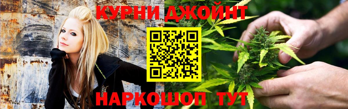 Шишки марихуана индика Пугачёв